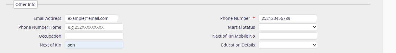 Additional Information Tab 